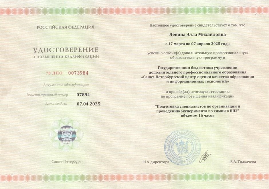 Левина Элла Михайловна 2024-2025